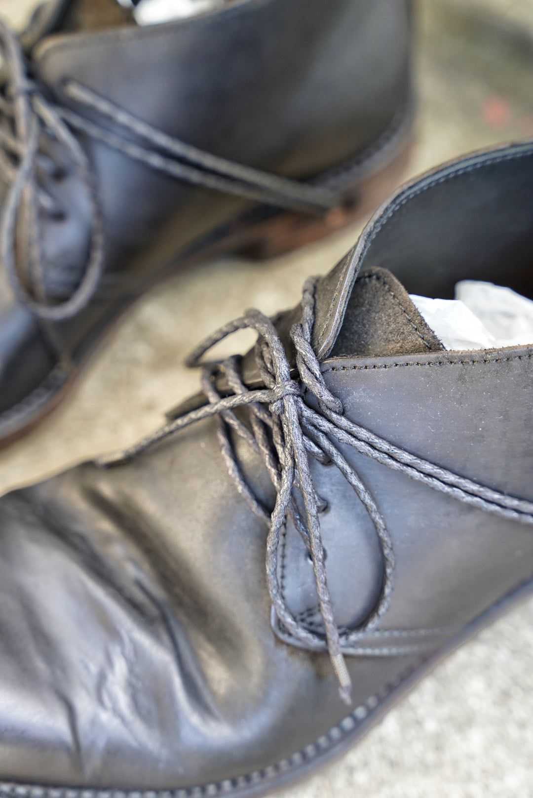 TECTA DERBY SHOES / HORSEBUTT CORDOVAN / 46 /