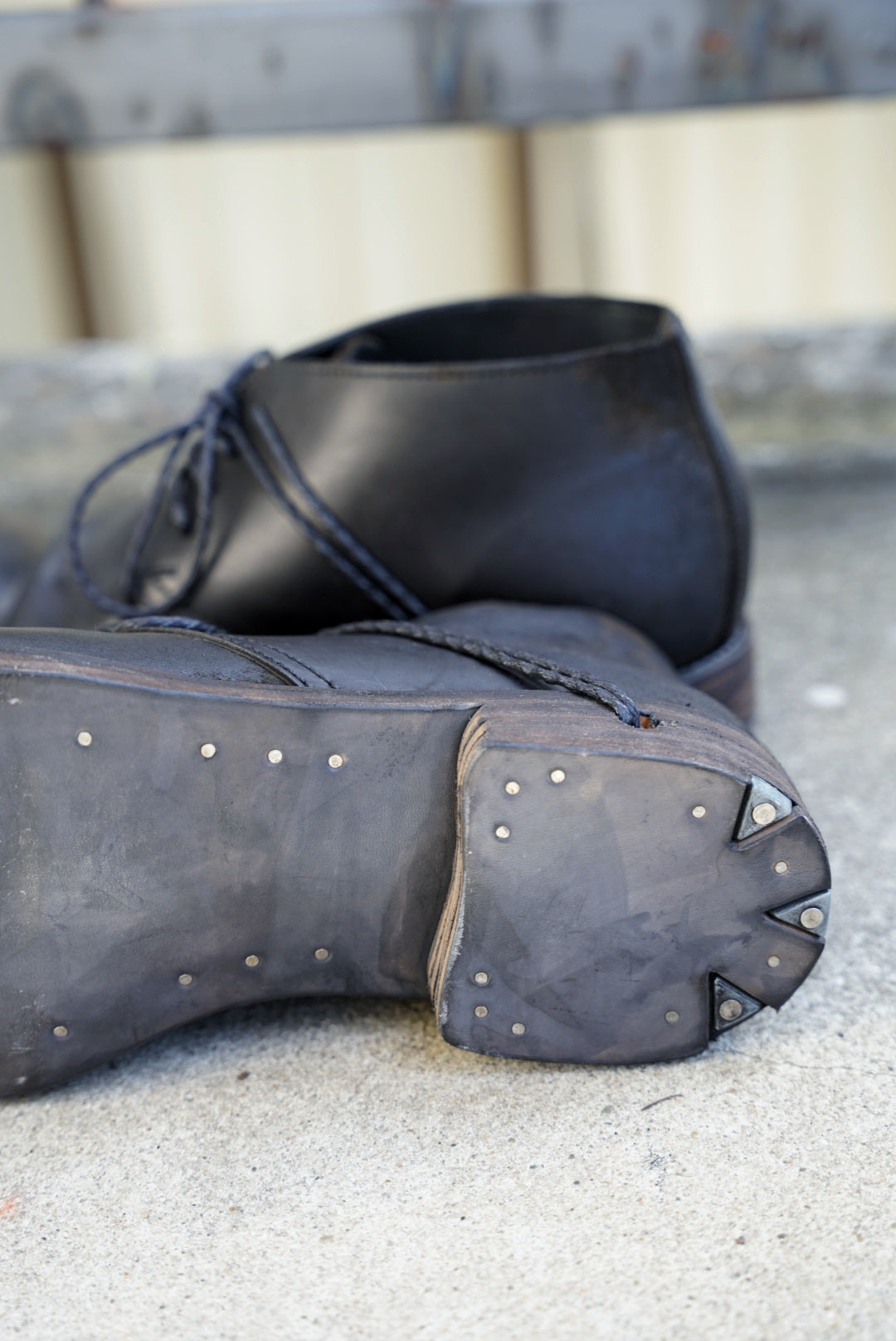 TECTA DERBY SHOES / HORSEBUTT CORDOVAN / 46 /