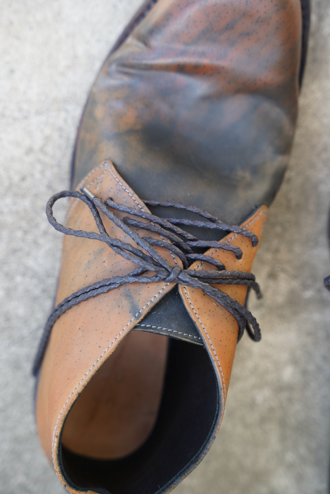 TECTA DERBY SHOES / MARBLE HORSEBUTT / 46 /