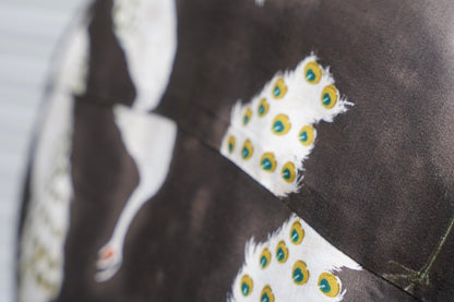 Peacock Shirts