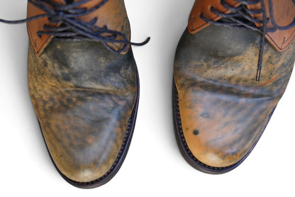 TECTA DERBY SHOES / MARBLE HORSEBUTT / 45 /