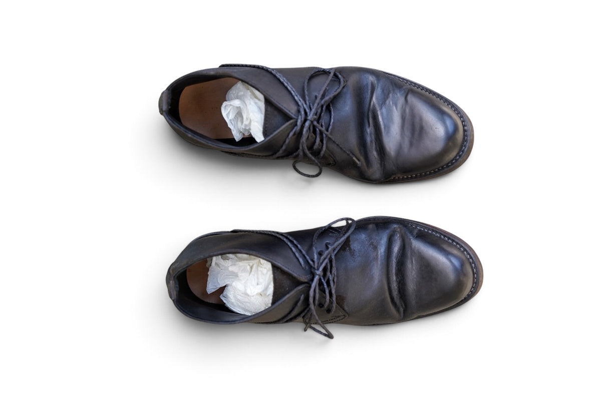 TECTA DERBY SHOES / HORSEBUTT CORDOVAN / 46 /