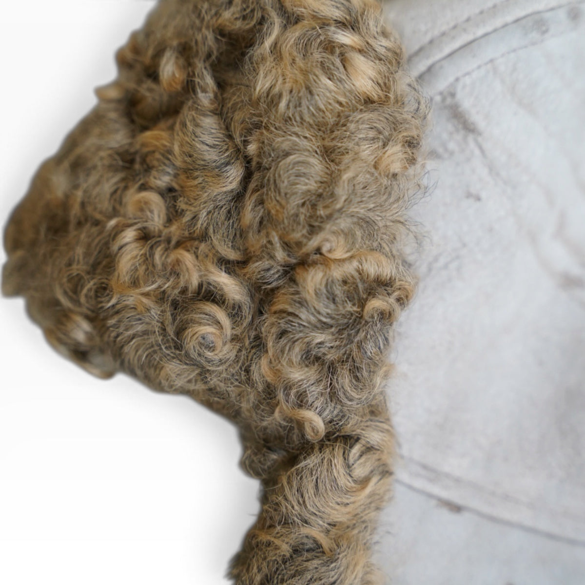 AVIATOR CAP / SHEARLING / CURLY