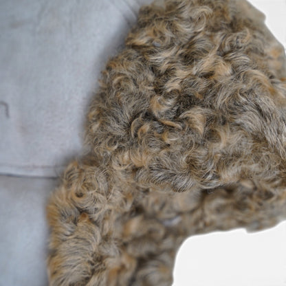 AVIATOR CAP / SHEARLING / CURLY